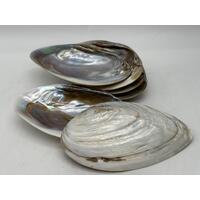 Mother of Pearl Set 6 Plates and 7 Cocktail Forks Collectable Set with Box