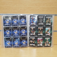 NRL 2017 XTREME 160-Cards 16-Team Trading Collector Card Set