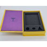 Destiny 2 Limited Edition SteelBook Box Set for PlayStation 4 PS4 Video Games