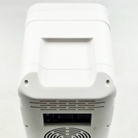 Portable Mini Makeup & Cosmetic Fridge Cooler Warmer LED Mirror 4L 12V DC Skincare Refrigerator