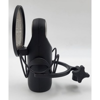 Aston Microphones Element Microphone Bundle with Pop Shield and Shock Mount