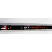 Penn GT Special 5 ft 6 in Saltwater Fishing Rod and 330GT2 Levelwind Reel