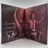 Cheech and Chong Up in Smoke Vinyl Soundtrack LP Classic Comedy Record