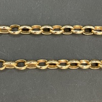 Ladies 9ct Yellow Gold Oval Belcher Link Necklace