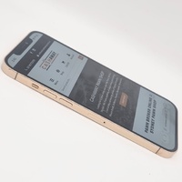 Apple iPhone 12 Pro Max 256GB Gold 6.7 Inch Unlocked Smartphone
