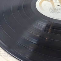 Peter Allen Taught By Experts Gatefold Vinyl Record