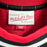 Mitchell & Ness Michael Jordan Bulls 1996-97 Authentic Jersey 36/S