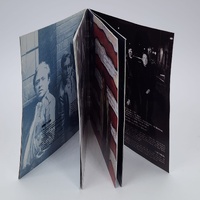 Bruce Springsteen Greatest Hits Compilation Album