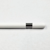 Apple Pencil USB-C A3085 Stylus for iPan Magnetic Attache Pixel Perfect