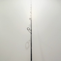 Shimano Game Type J S64-2 C14+ Jigging Rod 6'4" PE 2.5 Max 160g Jigging Offshore Saltwater Fishing Rod