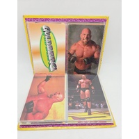 Panini 1998 WCW nWo Superstars Photocard Album Wrestling Trading Cards Binder