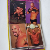 1998 Panini WCW nWo Superstars Photocard Collector Album Incomplete Wrestling Card Binder