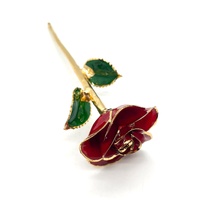The Eternity Rose Red Glazed 24K Gold Trimmed Natural Rose Gift with Display Box