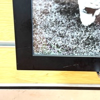 Sir Donald Bradman Framed Cricket Photograph Sports Memorabilia