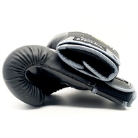 Everlast Junior Training Boxing Gloves Black 6oz Youth