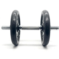 Celsius 50kg Dumbbell Weight Set Cast Iron Fitness Home Gym Gear