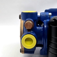 Lowara PSAM70/A Peripheral Turbine Water Pump 0.5HP 240V Booster