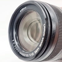 Canon EF-S 55-250mm f/4-5.6 IS II Telephoto Zoom Lens for Canon DSLR