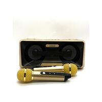 NEW SD301 Karaoke Bluetooth Speaker Dual Wireless Microphone Portable Speaker System