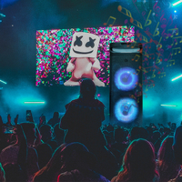 NEW Party Speaker Dual 10 inch Portable Wireless Bluetooth with Colourful Lights by Sing-E