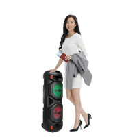 NEW SING-E Dual 8 inch HiFi Loud Speaker Super Bass Wireless Party Speaker