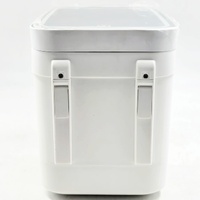 Portable Mini Makeup & Cosmetic Fridge Cooler Warmer LED Mirror 4L 12V DC Skincare Refrigerator