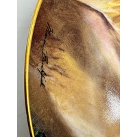 The Franklin Mint Heirloom Collection Plate Princess Of The Peaceful Journey