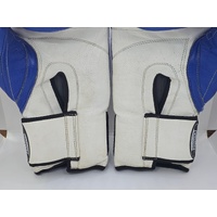 Punch Equipment 16oz Trophy Getters Commercial Boxing Gloves Blue