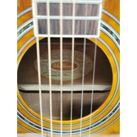 Washburn 6 String Dreadnought Acoustic Guitar with Gig Bag