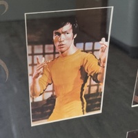 Bruce Lee In The Memory of The Little Dragon Limited Edition 005/900 Memorabilia