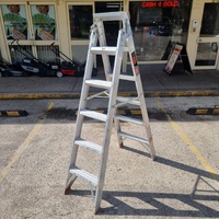 Rhino DDP06-150 Dual Purpose Ladder 1.8m-3.3m 150kg Industrial Grade