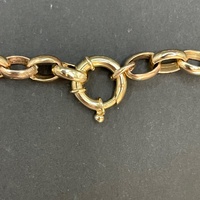 Ladies 9ct Yellow Gold Oval Belcher Link Necklace