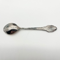 Vintage EPNS A1 Silver Plated Wildflowers of Australia 6 Spoon Set Souvenir