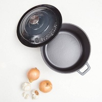 Westinghouse 5L Cast Iron Round Pot Ombre Grey WHCIPR2502G