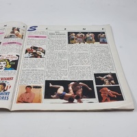 Mayfair Magazine Vol 26 No 10 1991 Paula Hamilton Lisa Erikson Rourke