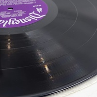 Walt Disney Presents Great Piano Concertos and Their Composers Vinyl Record