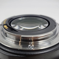 Canon Zoom Lens EF 70-300mm f/4.5-5.6 DO IS USM with Bag and Hood