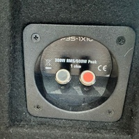 Rockford Fosgate Punch P3S-1X10 10 Inch Car Subwoofer with 10 Inch Slim Box