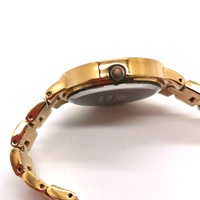 Elite 5089231 Ladies Gold Tone Watch Crystal Bezel Sunray Dial with Extra Links