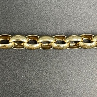 Ladies 9ct Yellow Gold Oval Belcher Link Bracelet