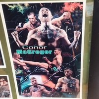 Conor McGregor UFC Framed Memorabilia Limited Edition 378/499 COA 16x20