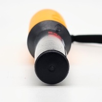 Minelab Pro Find 35 Metal Detecting Pinpointer Probe Waterproof