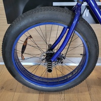Mammoth Hyper Fat Bike 26in Blue BMX Style Single Speed Disc Brake Pegs