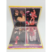 Panini 1998 WCW nWo Superstars Photocard Album Wrestling Trading Cards Binder