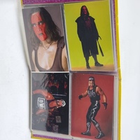 1998 Panini WCW nWo Superstars Photocard Collector Album Incomplete Wrestling Card Binder