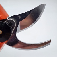 STIHL ASA 20.0 Battery Pruning Shears Cordless Secateurs AS 2 2.1Ah