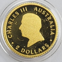 2025 Perth Mint Mini Kangaroo Gold Coin 0.5g 9999 Fine Gold $2 Australia in Card