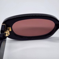 Wyld Blue x Pared Hazed Sunglasses Black Gold Frame Tinted Lens PE2305B