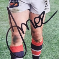 The Morris Brothers Brett Josh Morris Signed Framed Print Sydney Roosters NRL