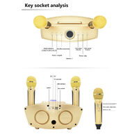 NEW Wireless Bluetooth Karaoke Speaker System 2 Microphone for KTV